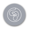 icon-antenatal-01