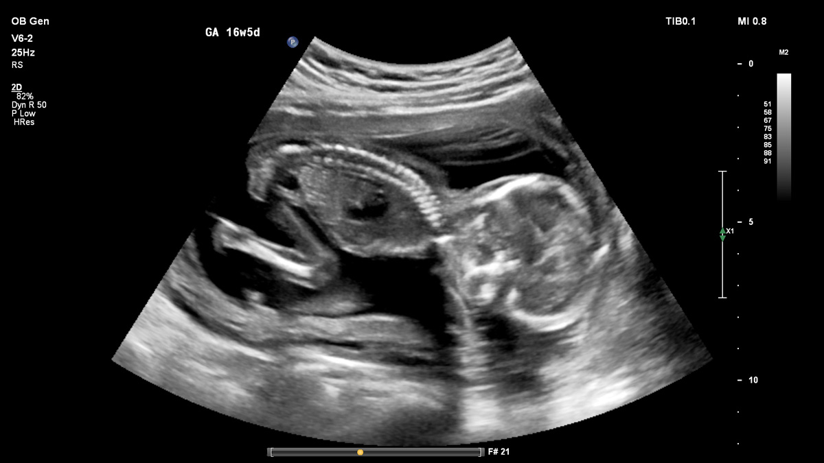 Gallery - Ob-Gyn Practice